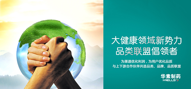 海南华素医药营销有限公司 海南华素医药营销有限公司
